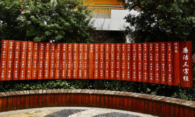 瓯海区外国语学校小学分校组照之二