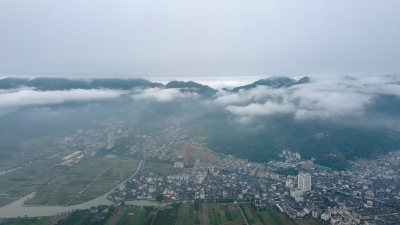 茶山街道