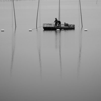 瓯江口，灵霓大堤旁浅滩