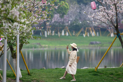 樱花园，自拍的市民