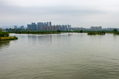 《三垟湿地，城市之肾》组照之六