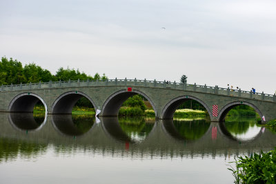 《三垟湿地，城市之肾》组照之三