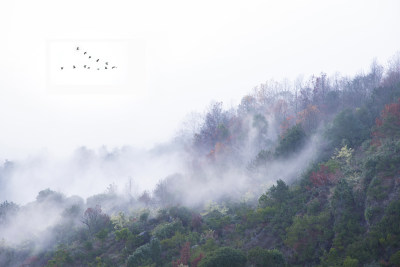 空山烟雨