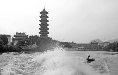 组照3