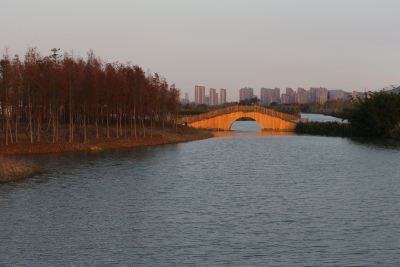 靓丽湿地