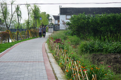 组2：小路
