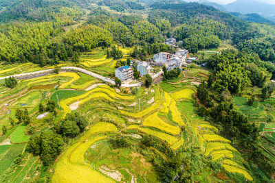 俯瞰黄公山梯田