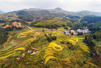 俯瞰黄公山梯田