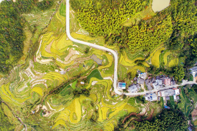 俯瞰黄公山梯田