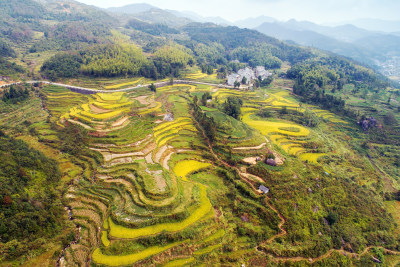 俯瞰黄公山梯田