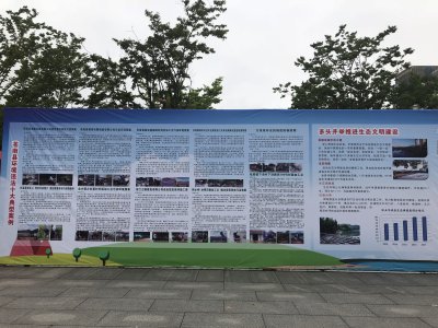 苍南县环境违法十大典型案例