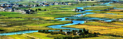 冬