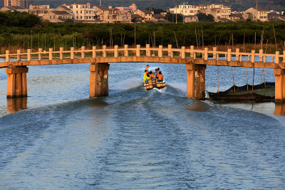 瓯海水乡