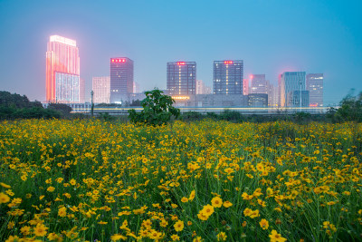 高铁新城美丽夜色