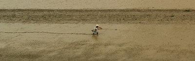海涂跳鱼捕手组照之四