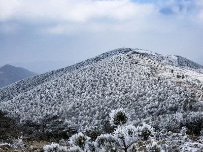雪原大寺基组照（4）