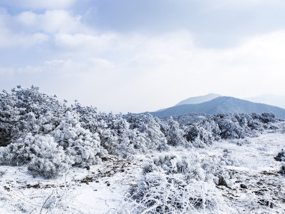 雪原大寺基组照（3）