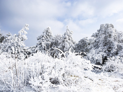 雪原大寺基组照（6）