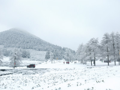 雪原大寺基组照（2）