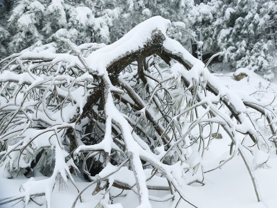 雪原大寺基组照（5）