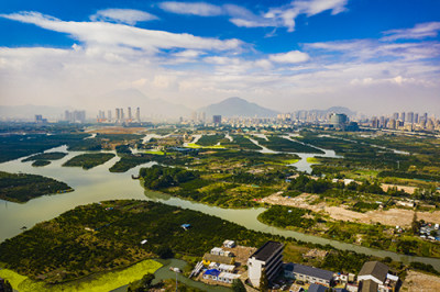 扩建中的三洋湿地6
