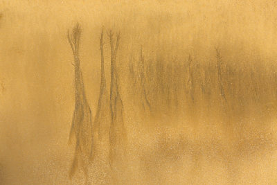 《沙滩精灵与海的沙画》组照之七