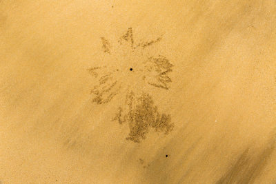 《沙滩精灵与海的沙画》组照之一