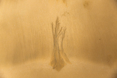 《沙滩精灵与海的沙画》组照之六