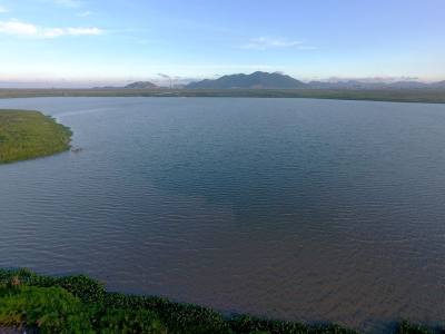 3000亩的龙湖湿地公园，是城市的绿肺，是今后龙港最具生态的休闲观光的地方。