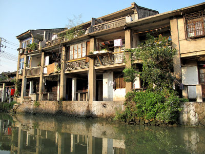 塘河沿岸风景