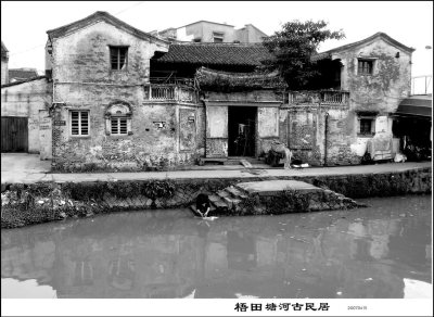塘河梧田风情