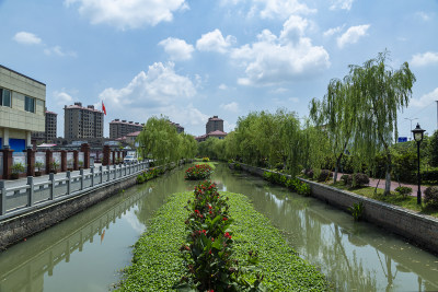 龙港中对口村的河道经过景观水体生态修复后，水质和景观都得到了很大的提升。