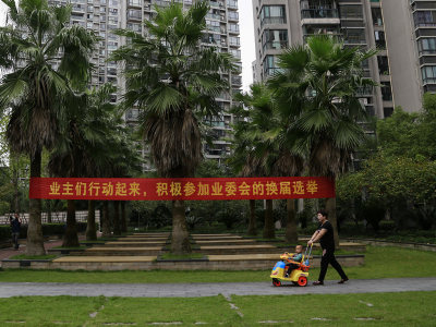 共建美丽家园。