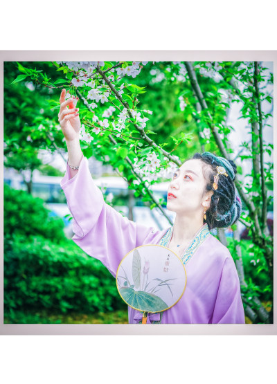 瓯江口樱花节组照六