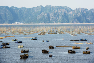 耕海