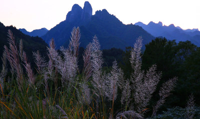 深秋芦红--乐清淡溪五指峰