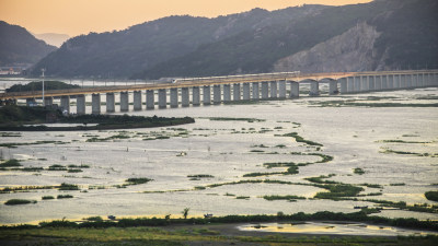 湖雾湿地组照之二