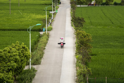 乡村小道组照之三