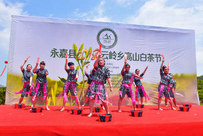 高山白茶节活动现场