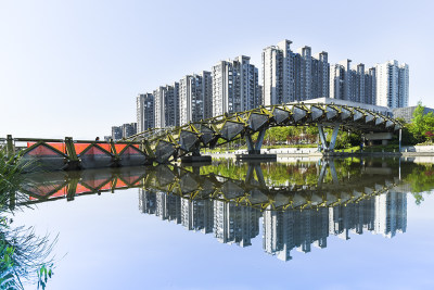 苍南新城
