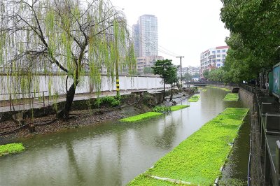 治理后的美丽河道