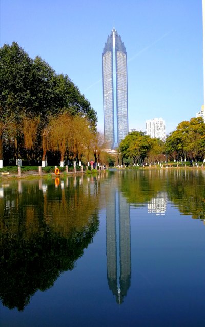 美丽家园组图之二
