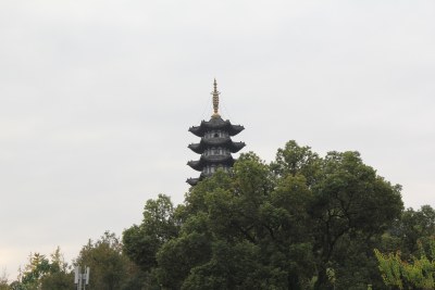 塔组照之一