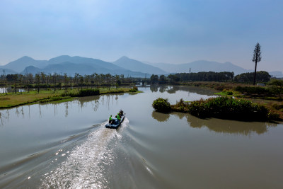 摄于2019.10-12之间三垟湿地