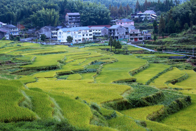 泽雅五凤垟乡村