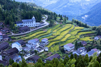庙后村