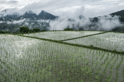 《山野田园》组照2