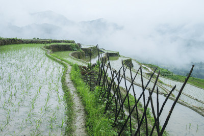《山野田园》组照3