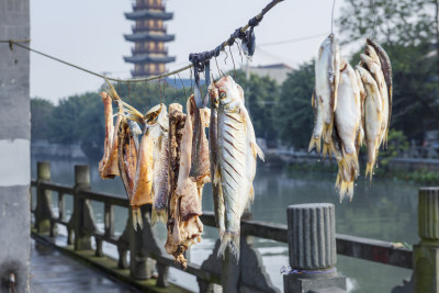 《似水年华忆塘河》组照四