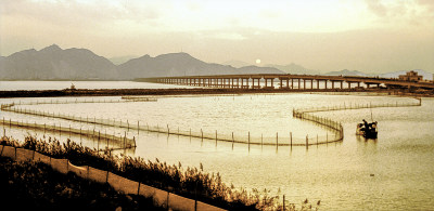 灵昆大桥2000年